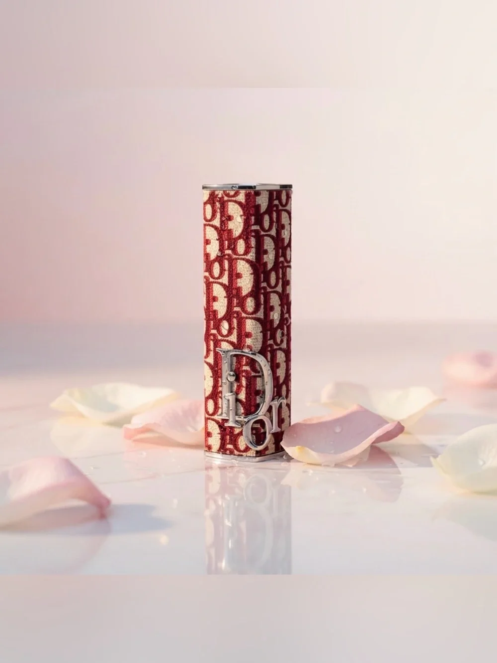 Dior Addict Lipstick Holder Burgundy Oblique Couture Case  NIB